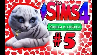 The Sims 4 Кошки и Собаки #5 - ♥Кошачья Любовь♥