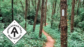 POV: You Thru Hike the Appalachian Trail | SOUNDS OF NATURE | 15 Minutes