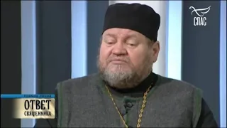 Ответ священника. Протоиерей Олег Стеняев. «Не живите ради детей».