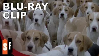 The Omen Collection: Omen III: The Final Conflict (1981) - Clip: Puppy Overload (HD)