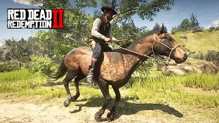 Pegando esse LINDO CAVALO - MESTRE DOS CAVALOS  -  Red Dead Redemption 2 - Ep09