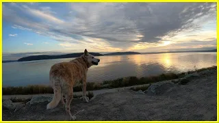 Morning Dog Walk on Scenic Waterfront / Relaxing Music & Nature Dog Walk / Ruston Way