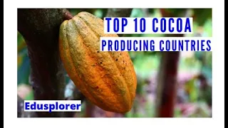 Top 10 Cocoa Producing Countries In The World. In Tonnes and Farmers Size. The Chocolate Industry.