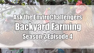 Ask the EnviroChallengers: Backyard Farming