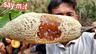 Ăn Tổ Mật Ong Ruồi | 1 Ngày Bắt Ong Rừng Cùng Team Sang Vlog | Catch and eat honey