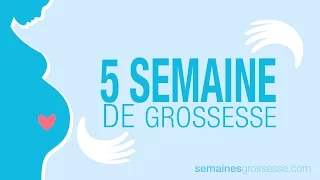 5 semaines de grossesse | Semaine 5 de grossesse | La grossesse semaine par semaine