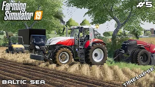 Rescuing Case IH Autonomous from ditch | Animals on Baltic Sea | Farming Simulator 19 | Episode 5