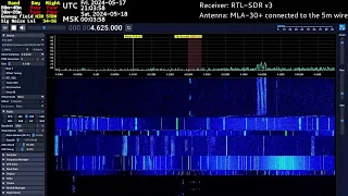 MLA-30+ WATCHING SIGNAL TEST (BUZZDER, THE BIB, FAX BEAT, OTHER SIGMAS)