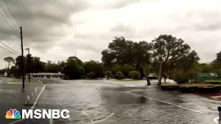 Florida residents seen 'swimming out of their windows' to escape floodwater