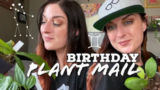 Houseplant Unboxing | Birthday Gifts & Knotdude Merch!