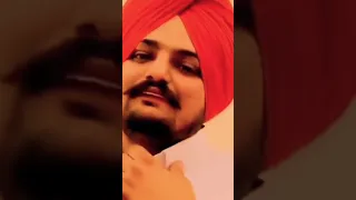 💫💫Sidhumoosewala💔💔#sidhumoosewala @Sidhumoosewala#shorts#viral#ytshort#foryoupage #trending