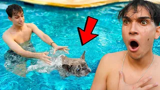 Our Dog Almost Drowned..