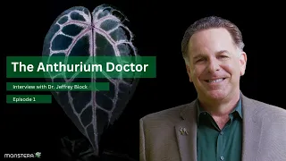 Ep: 1 | The Anthurium Doctor, Doc Block