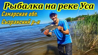 РЕКА УСА/ ЛОВЛЯ МИРНОЙ РЫБЫ / РЫБАЛКА НА ФИДЕР / ЛОВЛЯ ПЛОТВЫ / ТРОФЕЙНЫЙ КАРАСЬ / САМАРСКАЯ ОБЛАСТЬ