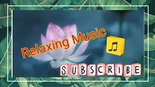 Lotus pier (30mins) Relaxing Music|Pampa tulog