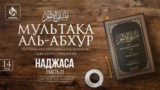 Урок 14: Наджаса | Часть 2 | «Мультака Аль-Абхур» | Ханафитский фикх | Azan.ru