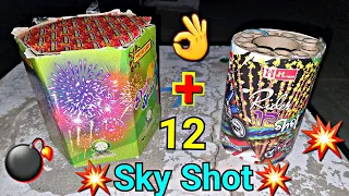 Sky Shot Crackers Testing 2021 | Crackers Testing video 202 |Different Diwali Crackers Testing 2021😃