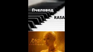 RASA Пчеловод на пианино обучение