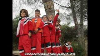 ESCOLA ROSELLA AMB LA MARATÓ '16