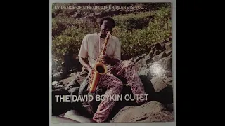 The David Boykin Outet - Connundrum (1999)