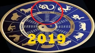 ГОРОСКОП НА 2019 ГОД ДЛЯ ЗМЕИ