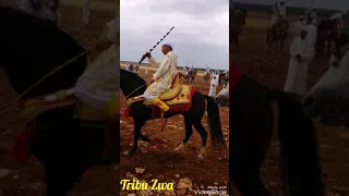 ملخص موسم اللامة بقبيلة الزوى 2018 (الجزء الثاني)