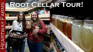 Root Cellar Tour: How we store a year's worth of food! | Food haul Aldi stock up and canning storage