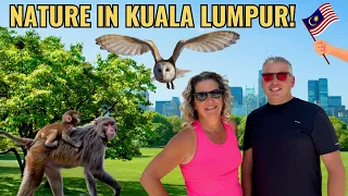 Kuala Lumpur Must Visit Nature Parks - In the Centre of the City!