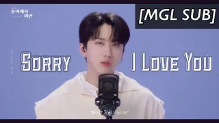 [MGL SUB] Stray Kids - Sorry, I Love You "좋아해서 미안" Video