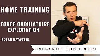 10 EXERCICES POUR DEVELOPPER SA FORCE ONDULATOIRE (SILAT INTERNE - SANTE)