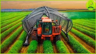 20 Amazing Heavy Modern Agriculture Machines Working At Another Level ▶45