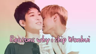 ♡Reasons why i ship Wonhui♡