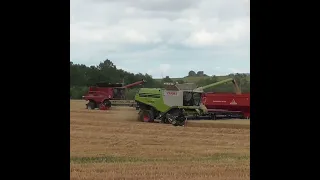 Green VS. Red | Claas VS. Case Combine Race | 2 x Lexion 780 & Axial Flow 9240