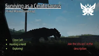 Surviving as a Ceratosaurus | Primal Haven Gameplay | Roblox