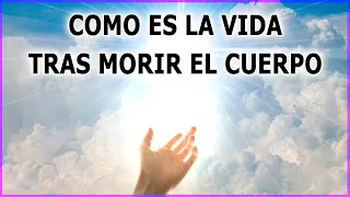 ¿Cómo es la Vida después de la Muerte? 🍁 Vida después de la Vida y Vida en el Más Allá