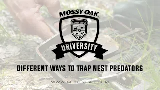 Different Ways To Trap Nest Predators