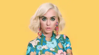 Katy Perry: After Witness