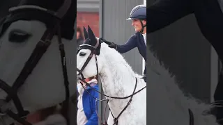 There nothing Holding me back speed up ~ Equestrian Music