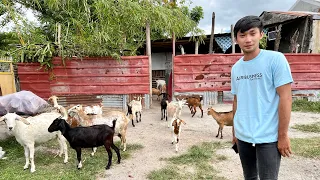 21 YEARS OLD STUDENT, Nag GOAT FARMING GAMIT ang SARILING IPONG PERA