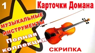 Карточки Домана Музыкальные инструменты часть 1