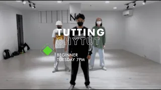 Billie Eilish - My Boi (TroyBoi Remix) / Tutting Beginner Level / Shytut / New Heights Studio