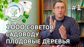 Формирование саженцев плодовых деревьев. Ответы на вопросы по уходу за садом.