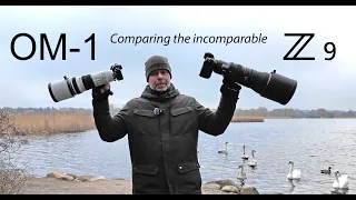 Nikon Z9 vs OM-1, Comparing the incomparable