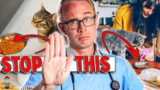 Most Cat Owners Feed Their Cat Wrong (do this instead)