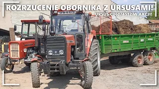 ✔Rozrzucanie Obornika z Ursusami!?➜Łogiń?!☆Ursus c360/4512?!✩Real!🔔Daniel12