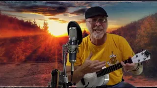 IT'S A LONG WAY THERE, LITTLE RIVER BAND, COVER,  346th season of the ukulele