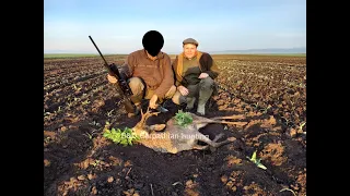 Roe buck hunting in Romania 5 Rehbock Jagd in Rumänien 5 Jacht op reeën in roemenië 5