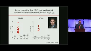 Fundamentals of T cell-based Immunotherapy - Nicholas Restifo