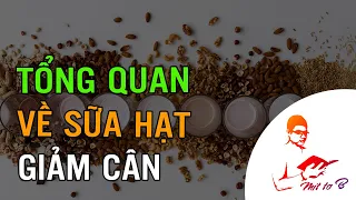 🔔 Tổng quan về Sữa hạt Giảm cân