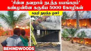 'சின்ன தவறால் நடந்த பயங்கரம்'  கண்முன்னே கருகிய 5000 கோழிகள்  கதறி துடித்த ஓனர்